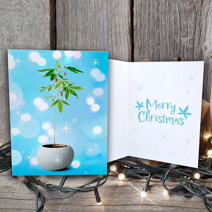 An open holiday card with a cannabis plant design surrounded by bokeh lights on one side, and 'Merry Christmas' with snowflakes and a cannabis leaf on the other side. Twinkling holiday lights add a cheerful ambiance.