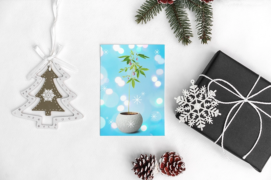 Holiday setup with a greeting card depicting a cannabis plant in a pot, set against a whimsical bokeh background, beside a chic wrapped gift, festive pine cones, and a delicate tree ornament.