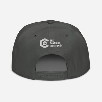 Charcoal Gray Back Blue Dream Snapback Hat