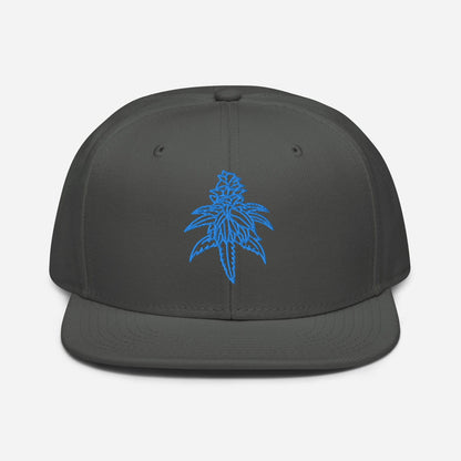 Charcoal Gray Front Blue Dream Snapback Hat