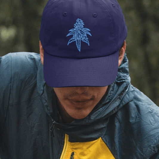 Blue Dream Snapback Hat — standardized featured product image