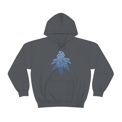 a Blue Dream Cannabis Hoodie with a blue leaf on it.