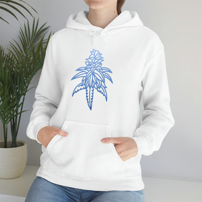 a woman wearing a Blue Dream Cannabis Hoodie.