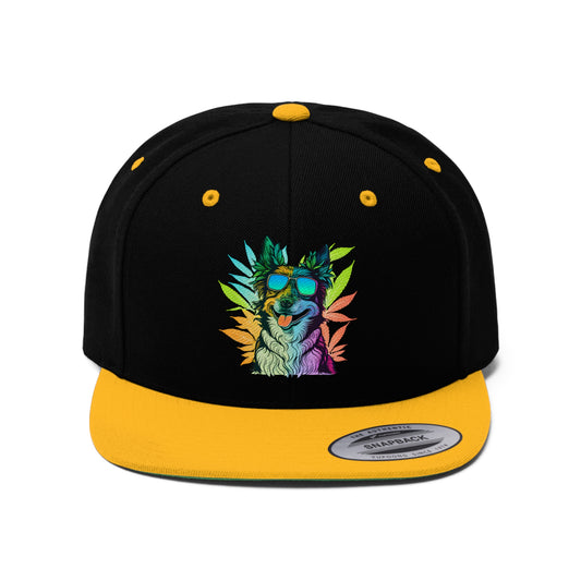 Black and gold Cool Border Collie hat, featuring a dog with sunglasses and cannabis leaves snapback hat with a Border Collie on the front center multi colored with weed leaves around it