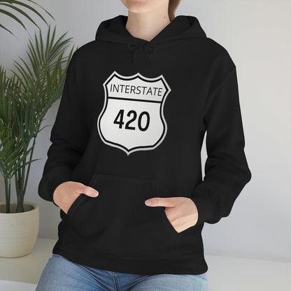 Person wearing an Interstate 420 Stoner Hoodie, which is black with "Interstate 420" printed on the front, standing near a potted plant.