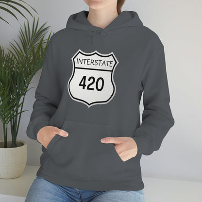 A person is wearing an Interstate 420 Stoner Hoodie, with a potted plant in the background.