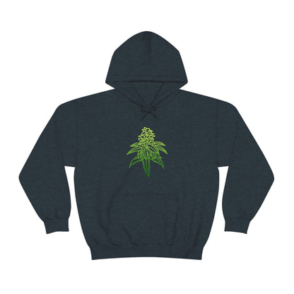 a Sour Diesel Marijuana Hoodie with a green marijuana leaf on it.