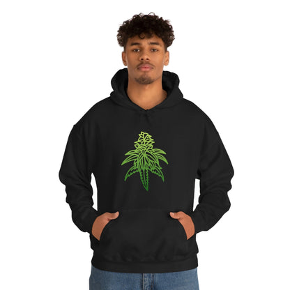 a man wearing a black Sour Diesel Marijuana Hoodie with a green marijuana leaf on it.