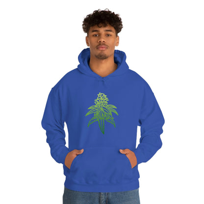 a man wearing a Sour Diesel Marijuana Hoodie.