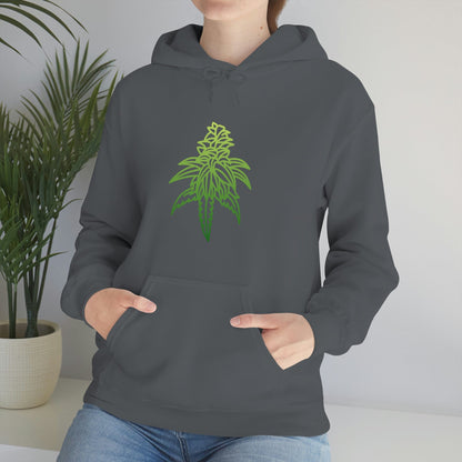 a woman wearing a gray Sour Diesel Marijuana Hoodie with a green marijuana leaf on it.