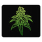 a green Sour Diesel Cannabis leaf on a black background.